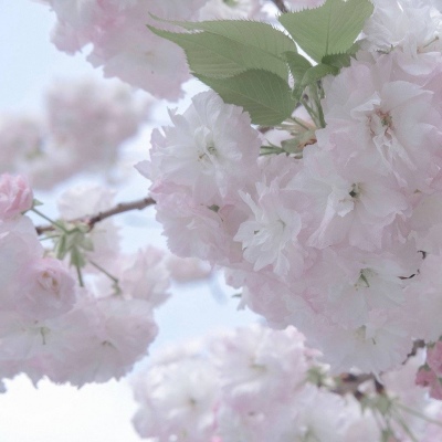 Furry兽设设计技巧福瑞交流群